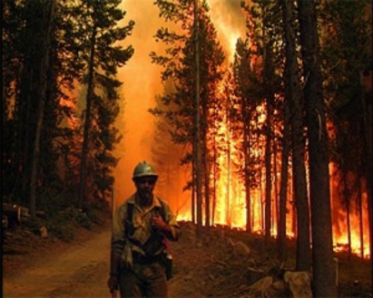 Мощен пожар изпепели боровата гора в к-с Меден Рудник