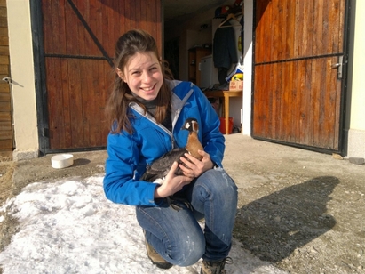 Бургаско семейство спаси ценна червеногуша гъска