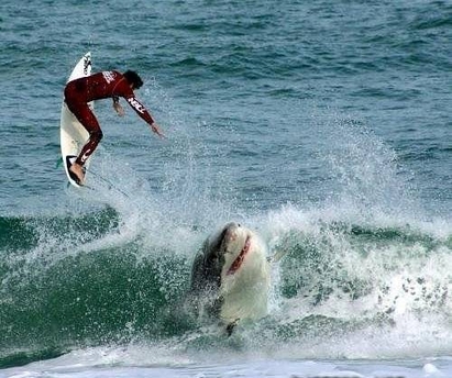 Акула изяде сърфист в Австралия