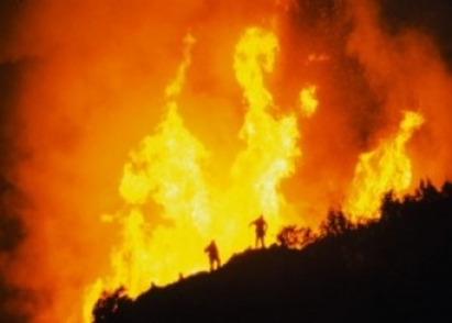 Пожар вилня край Черноморец