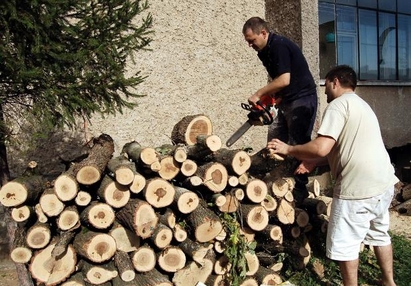 Кмет отряза пенсионери за дърва, урежда богаташи в Синеморец