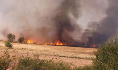 Пожарът в Тополовградско овъгли 90% от дворовете на хората