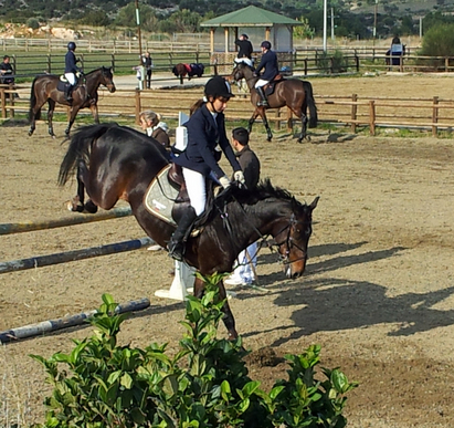 Родни ездачи посрещнати с фурор на Коледно шоу по конен спорт в Атина
