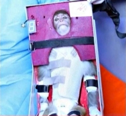 Подозират измама с пращането на иранската маймуна в космоса