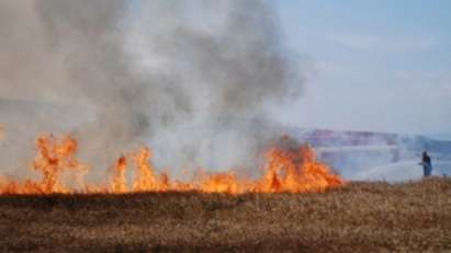 23-годишен пали ниви с пшеница край Созопол