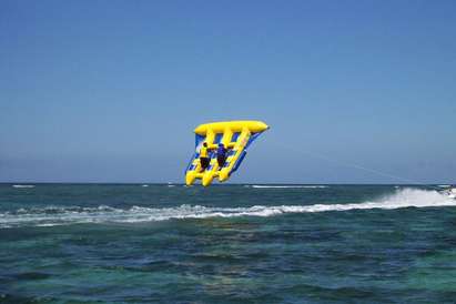 Летяща риба пощури туристите в Слънчев бряг