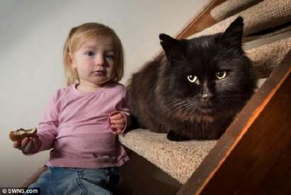 Черна котка тероризира съседи, атакува ги с нокти и зъби
