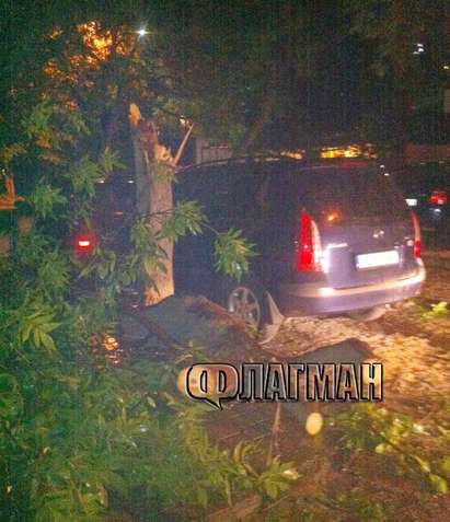 Кошмар на бургаската ул. Самуил: Изгнило дърво премаза автомобил, хората бягат в паника (Снимки)