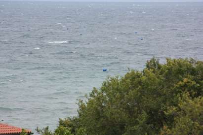 Стотици бидони плуват в морето от Приморско до Царево