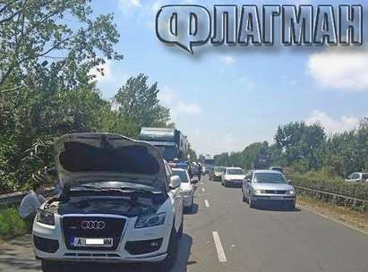 Камион на цирк "Балкански", пълен с понита и маймуни, причинил катастрофата на изхода на Бургас