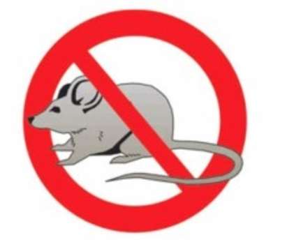 Слагат отрова срещу мишки в Поморие, пазете си домашните кучета