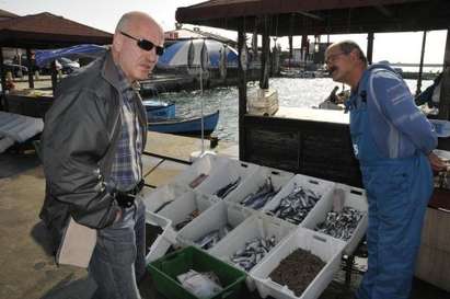 Морето ври от риба, паламудът на половин цена тази година