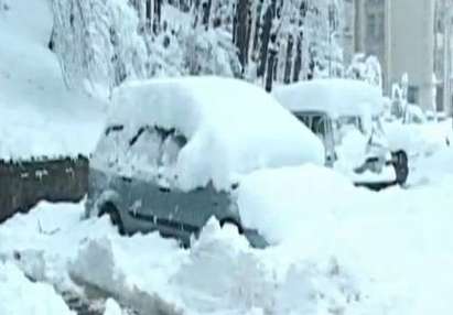 Остава бедствено положението в Габрово, снегът продължава да поваля дървета