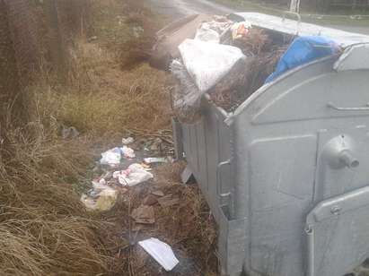 Читател от каменското село Трояново: Тънем в боклуци, контейнерите не са изхвърляни от два месеца