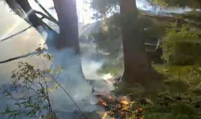Огнеборците спряха разпространението на пожара в Рила, 30 дка гора е изгоряла