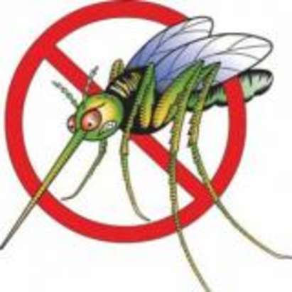 Пръскат против комари парковете в Бургас