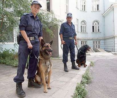 За първия учебен ден: Полицаи с кучета душат раниците