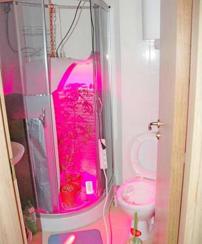 Хотел край Слънчев бряг превърнат в нарколаборатория, турист гледа канабис в душ-кабина
