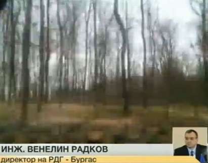 Инж. Венелин Радков: Сечта в Странджа е под контрол, гората става все по-хубава