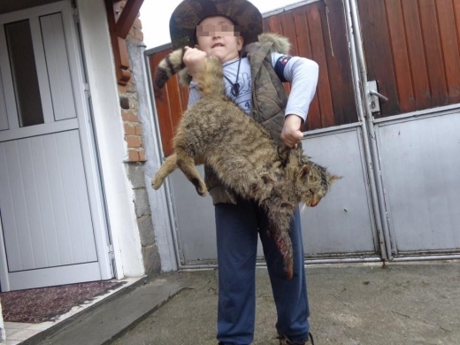 Шок! Мъж от Банско уби котка и даде на момченцето си да играе с окървавения труп (СНИМКА 18+)