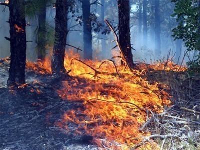 Пожар в района между Каблешково и село Дъбник