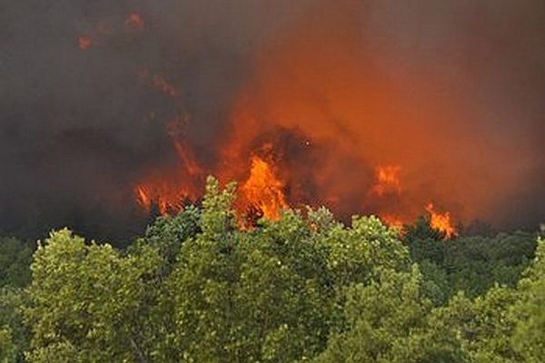 Извънредно! Доброволци и граничари гасят стихията край Средец, пламъците бушуват до 3 села