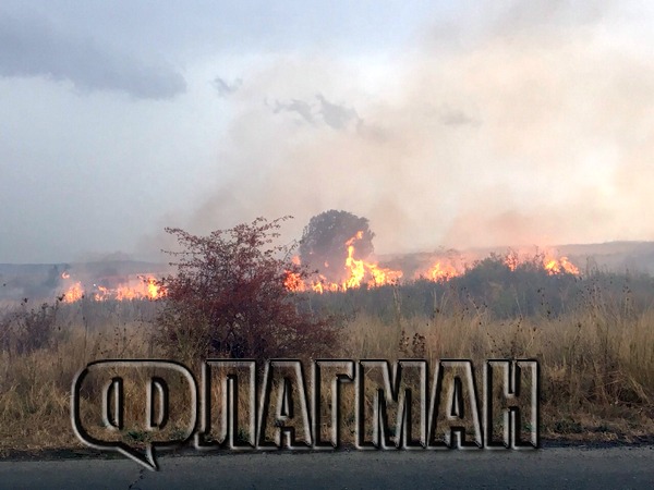 Пожар бушува между несебърските села Гюльовца и Оризаре (СНИМКИ)