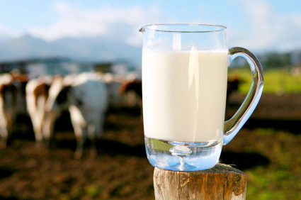 ЕС ни дава пари, за да не си произвеждаме млякото