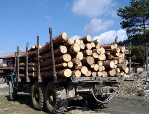 Преглед на регионалния печат: Студът повиши с 30% цената на дървата