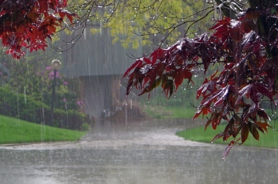 Синоптиците предупреждават: Времето се разваля през почивните дни, очакват ни дъжд и гръмотевици