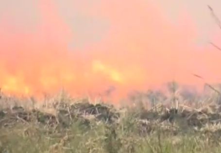 Военни гасят пожар край Присадец
