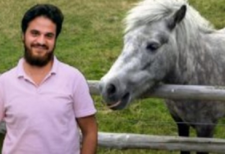 Шок и ужас! 23-годишен бежанец изнасили жестоко малко пони в берлински зоопарк