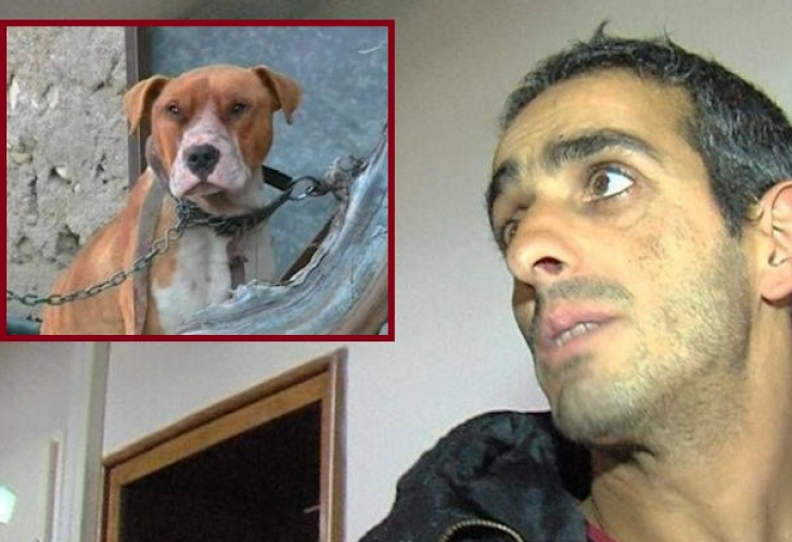 Проговори собственикът на питбула-убиец! Надига се вълна в защита на кучето (ВИДЕО)