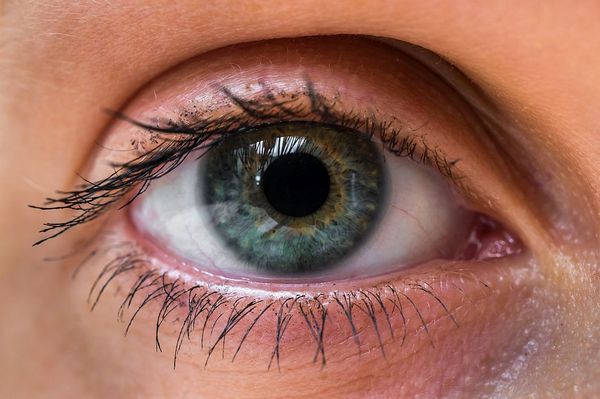 Хирурзи извадиха 14 червея от окото на жена