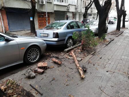 Мокри клони се стовариха върху два автомобила на ул. "Княз Борис" в Бургас