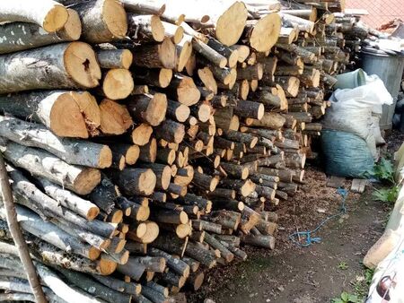 ЮИДП-Сливен: Хората да са спокойни, дърва ще има за всички и няма да поскъпват