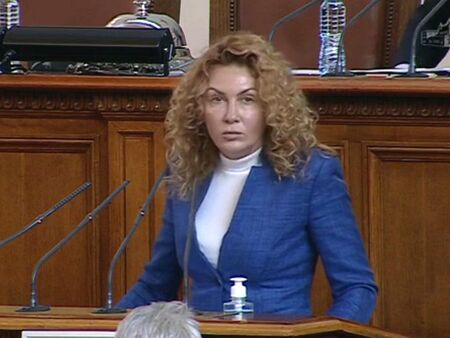Бургаска депутатка свърза промяната във властта с ръст на насилието в училищата и семействата