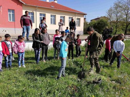 Деца и горски от ДГС Ново Паничарево заедно залесиха дръвчета