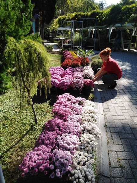 Цветното изложение „Флора Есен“ очаква своите посетители в дните от 8 до 12 септември