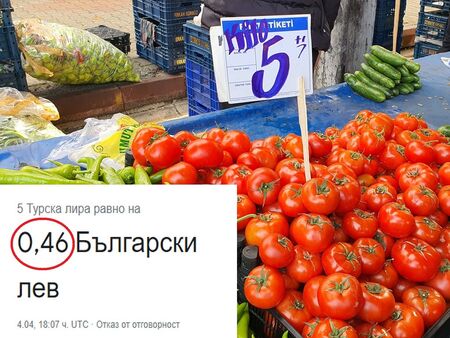 Защо кило домати в Турция струват 46 стотинки, а в България 5 лева