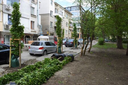 Продължава засаждането на млади дървета по ул."Шейново" в Бургас
