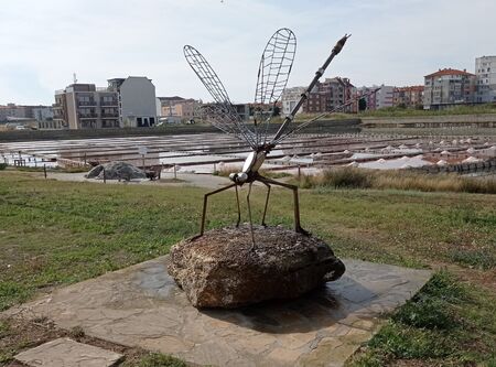 Нова скулптурна композиция акцентира на рядък вид водно конче в Поморийското езеро