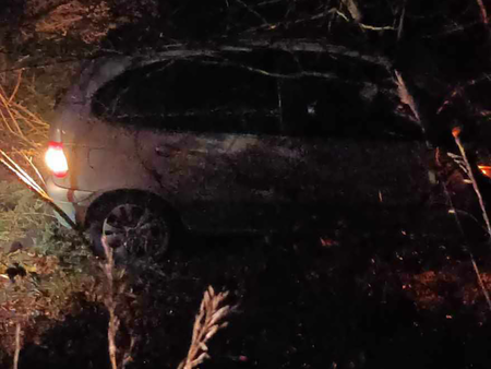 Милю от Зидарово катастрофирал в дърво с Реното, грабнал децата и повикал Спешна помощ от вкъщи
