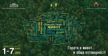 ЮИДП-Сливен ще раздаде безвъзмездно 10 000 фиданки по повод Седмицата на гората