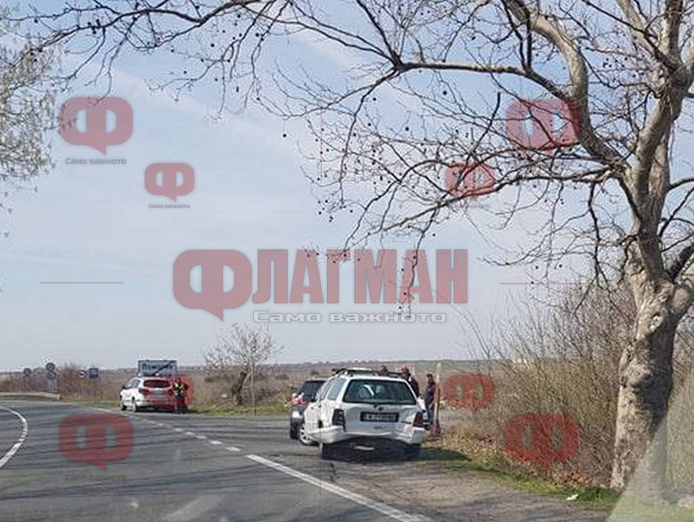 Бентли вологда груминг