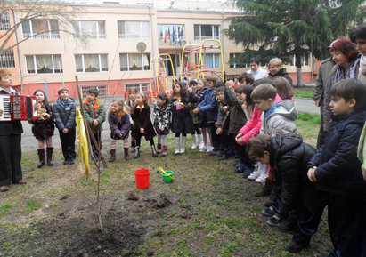 Деца садят дръвчета в чест на гората