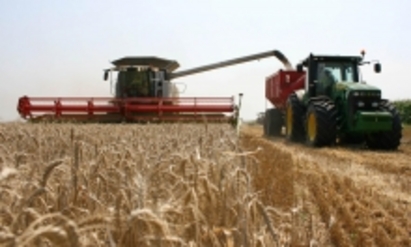 Снабдяваме изцяло Йордания с жито?