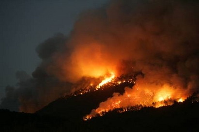 Пожар изпепели 180 дка пасища и гора в с. Трояново