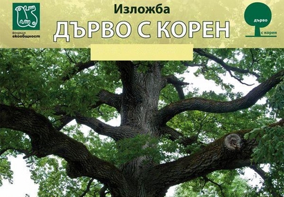 Стартира изложбата "Дърво с корен" в бургаския природонаучен музей