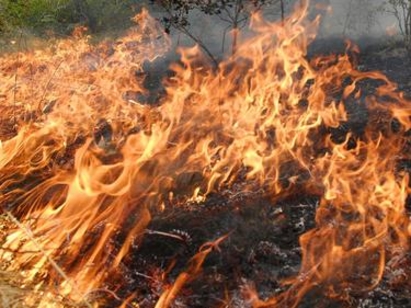Фас запали 1000 дка край Суходол, изгоря една от къщите в селото